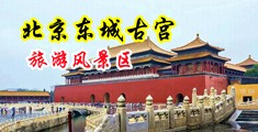 校园春色自拍偷拍中国北京-东城古宫旅游风景区